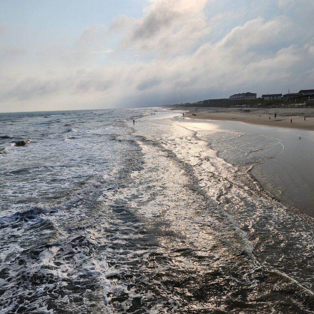 Meet your Posher, Ella!